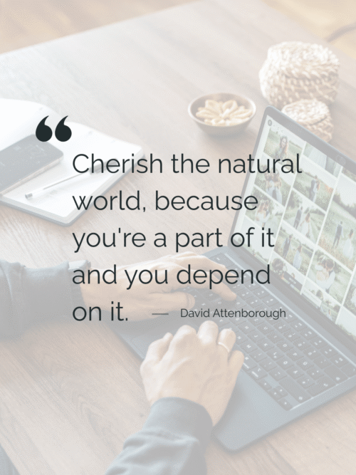 Quote Quote